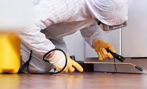 Best Real Estate Pest Inspections  in Findlay, OH